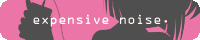 EXPENSIVE NOISE�E